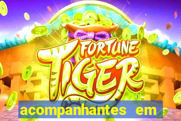 acompanhantes em porto feliz